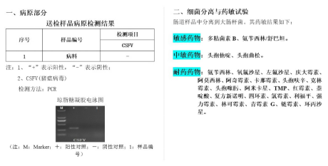 from clipboard from clipboard