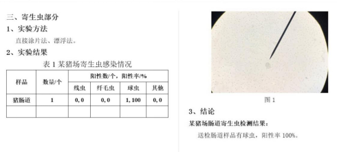 from clipboard from clipboard