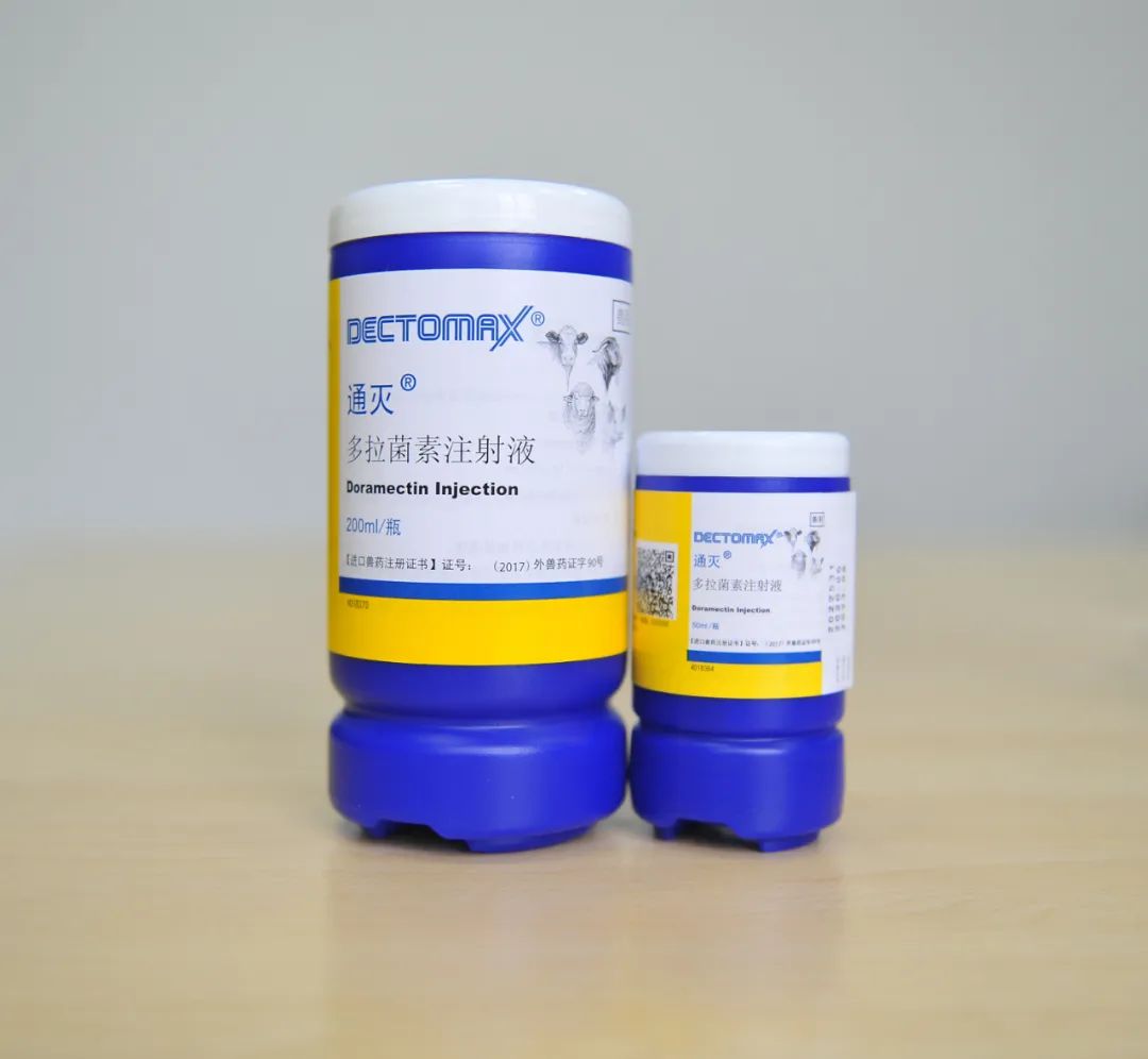 from clipboard from clipboard