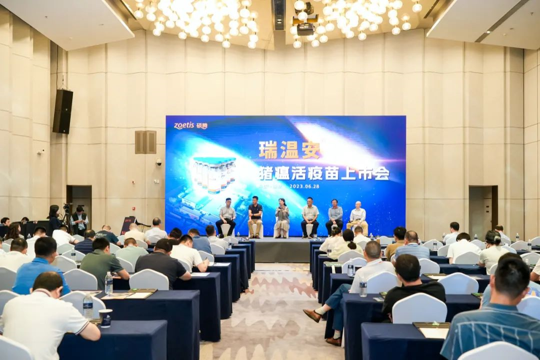 from clipboard from clipboard