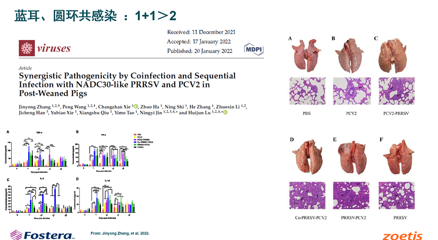from clipboard from clipboard