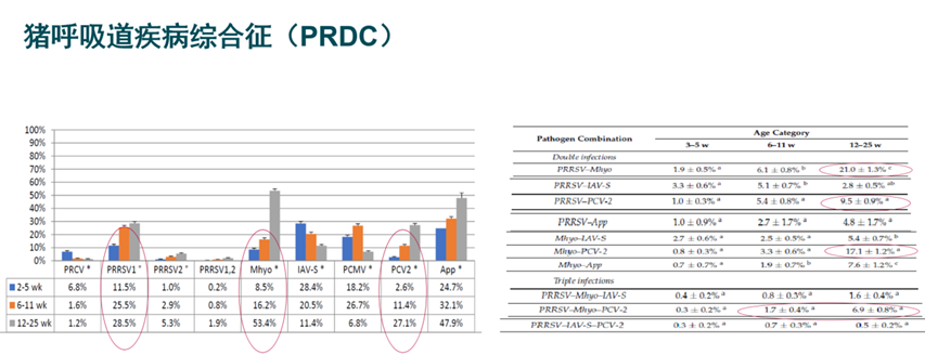 from clipboard from clipboard