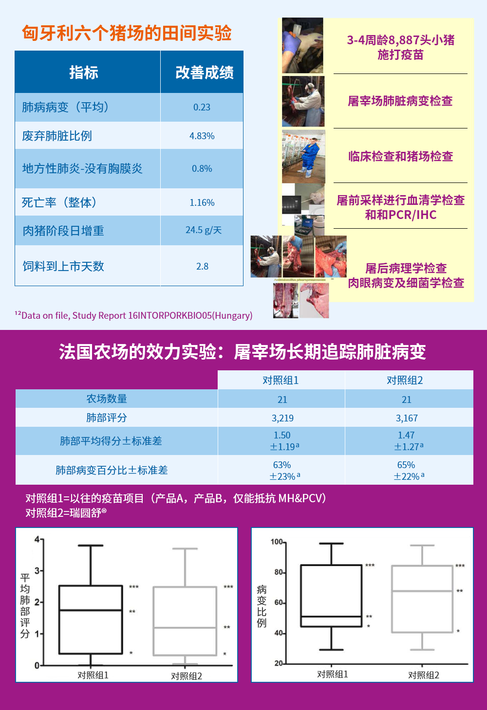 from clipboard from clipboard