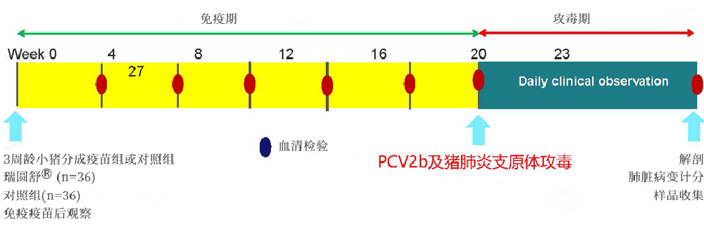 from clipboard from clipboard