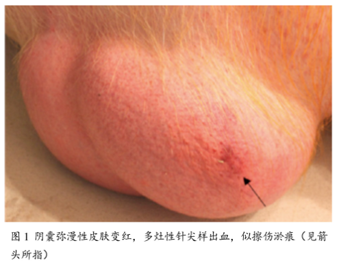 from clipboard from clipboard