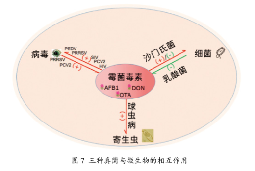 from clipboard from clipboard