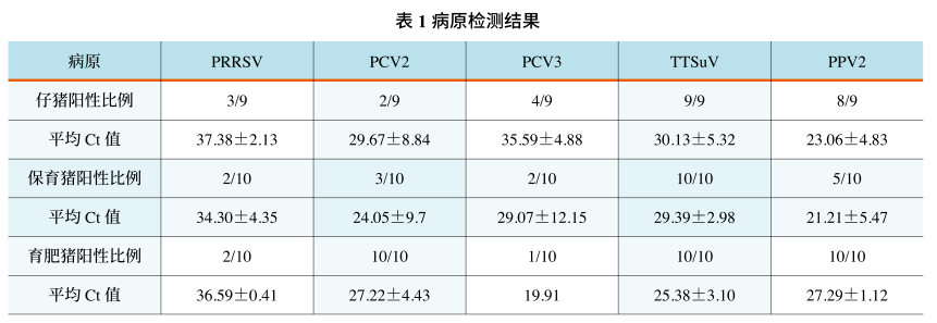 from clipboard from clipboard