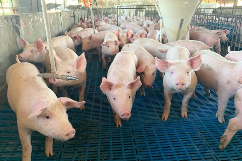 from clipboard from clipboard