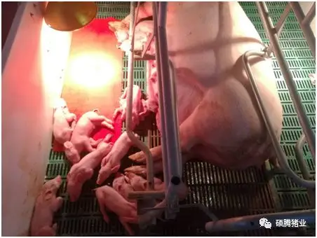 from clipboard from clipboard