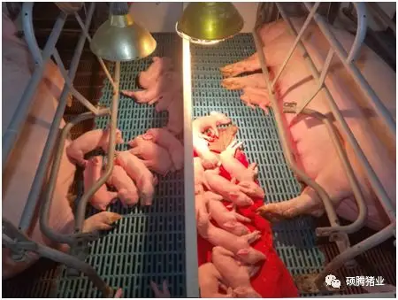 from clipboard from clipboard