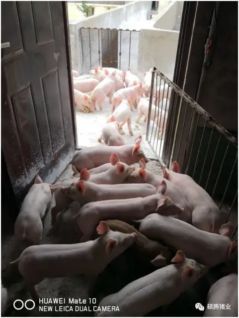 from clipboard from clipboard