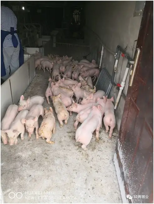 from clipboard from clipboard