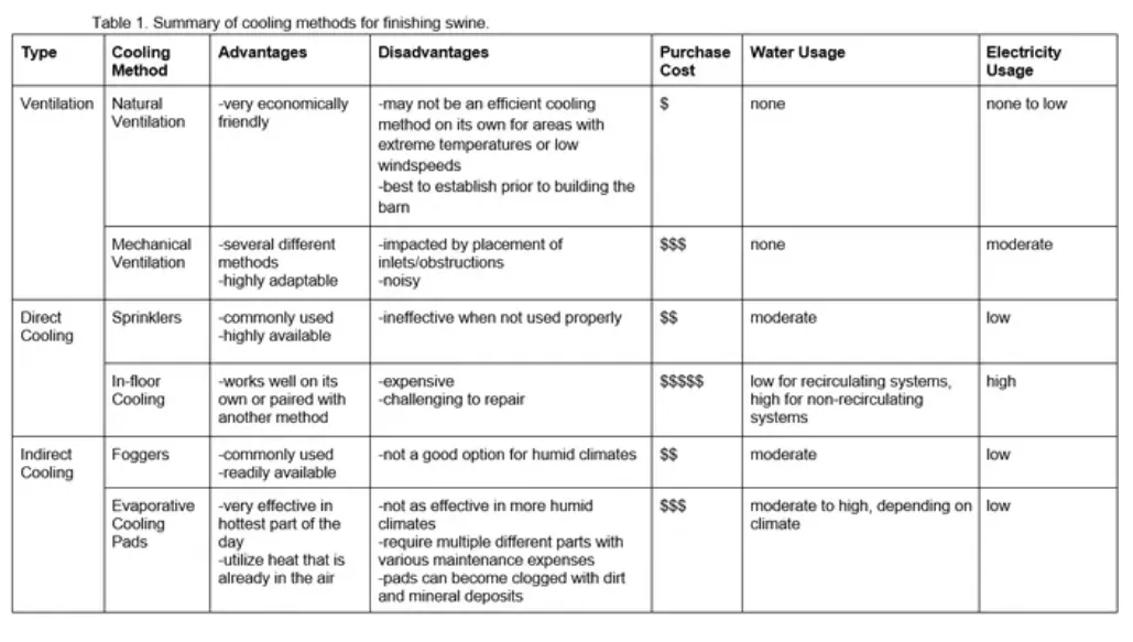 from clipboard from clipboard