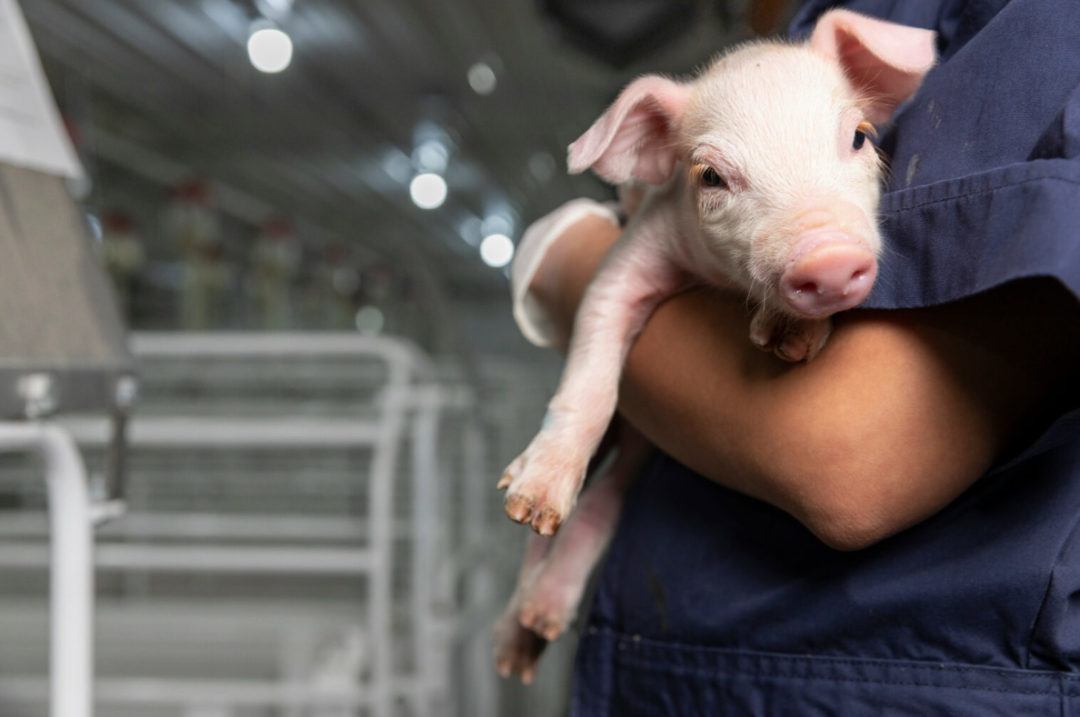 from clipboard from clipboard