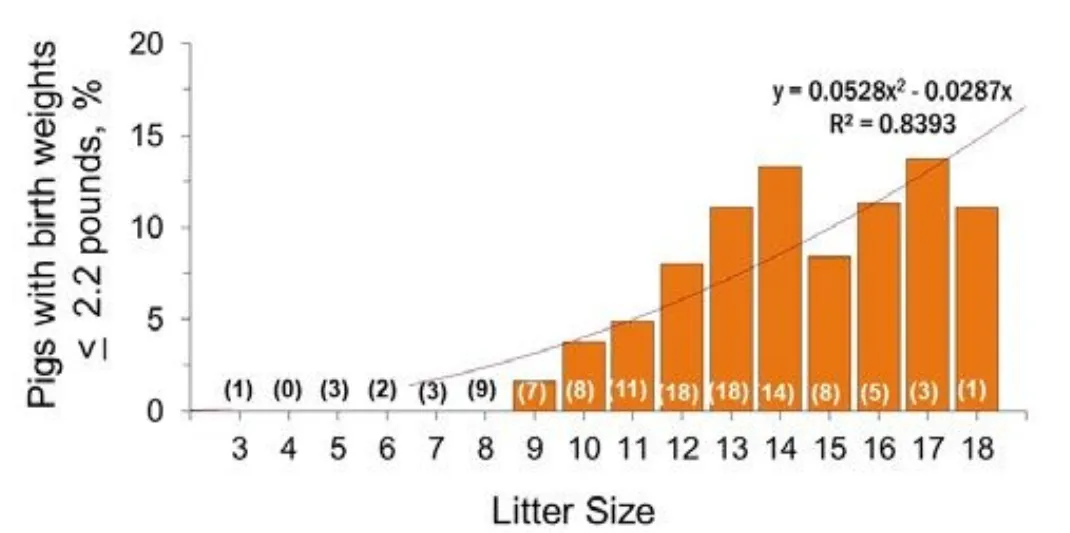 from clipboard from clipboard