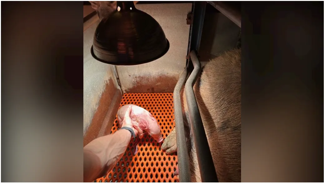 from clipboard from clipboard