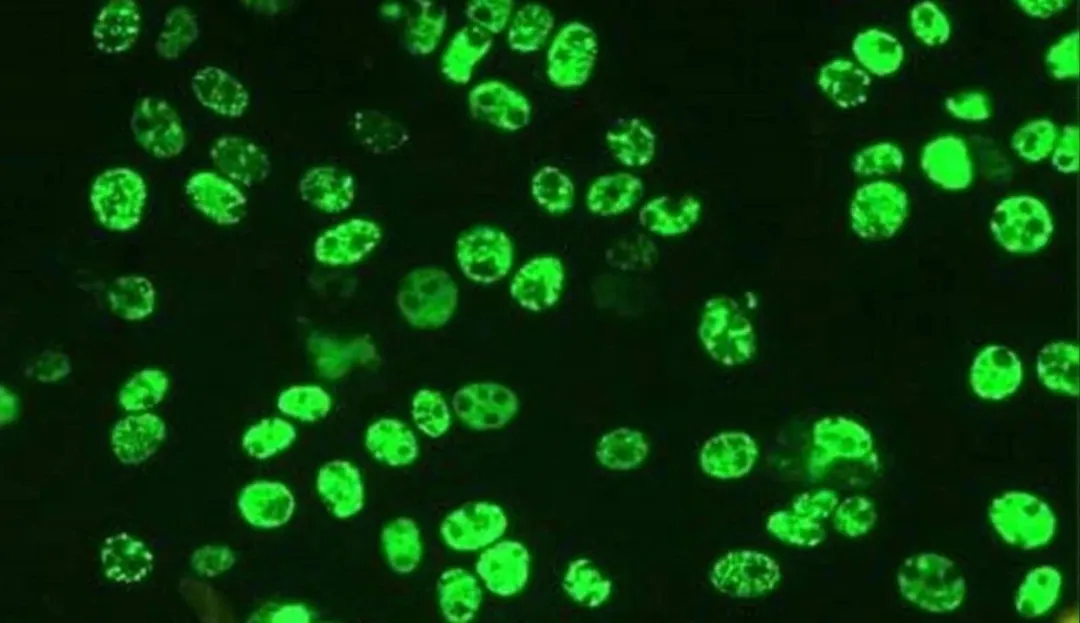 from clipboard from clipboard