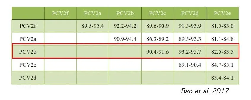 from clipboard from clipboard