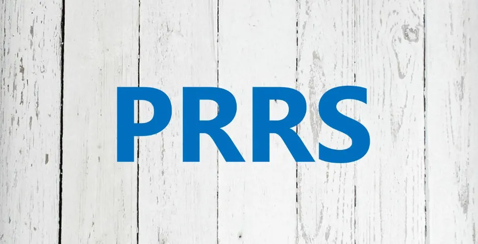 from clipboard from clipboard