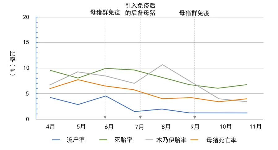 from clipboard from clipboard