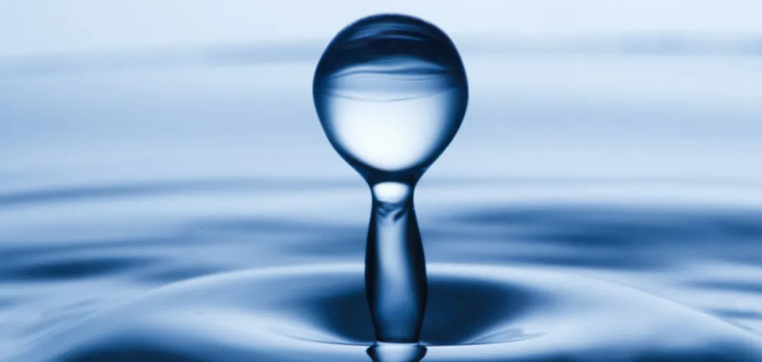 from clipboard from clipboard