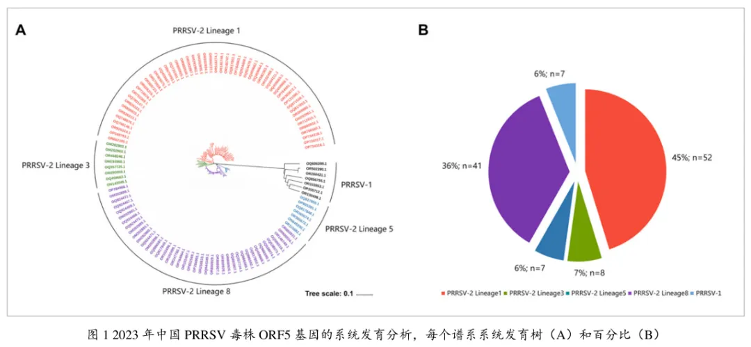 from clipboard from clipboard