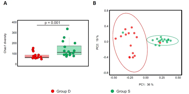 from clipboard from clipboard